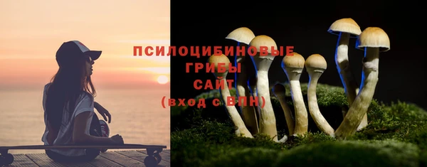 прущие грибы Киреевск