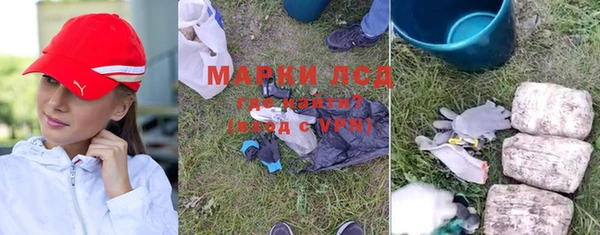 прущие грибы Киреевск