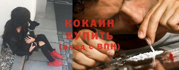 прущие грибы Киреевск